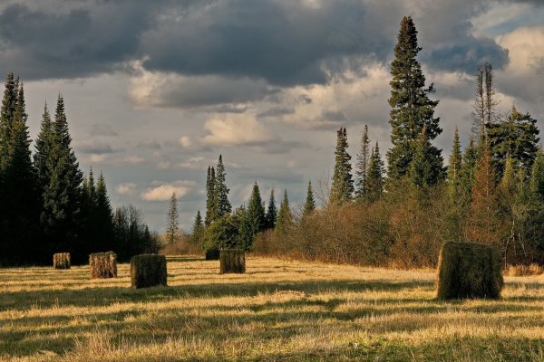 Природа вокруг Томска