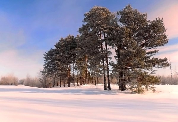 Природа синего утеса Томск