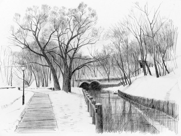 Рисунки карандашом природа