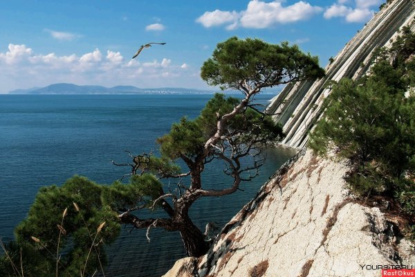 Гора Дооб Геленджик