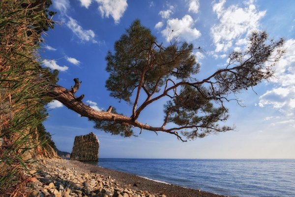 Геленджикская бухта