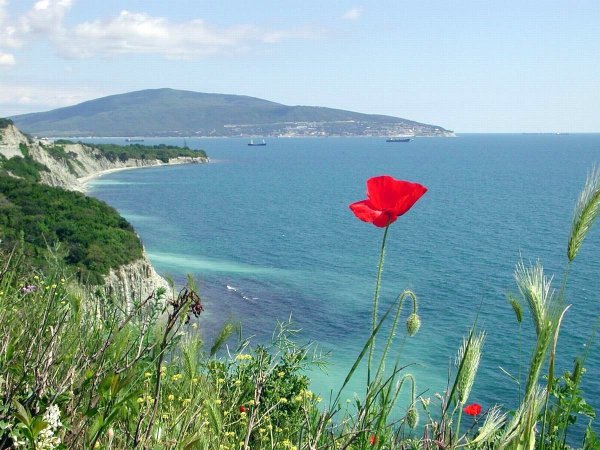 Геленджик Кабардинка природа