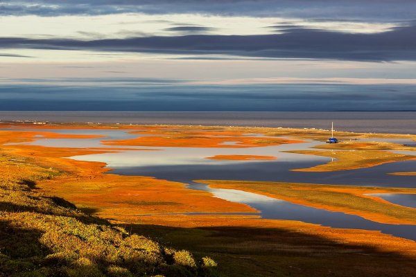 Полуостров Таймыр