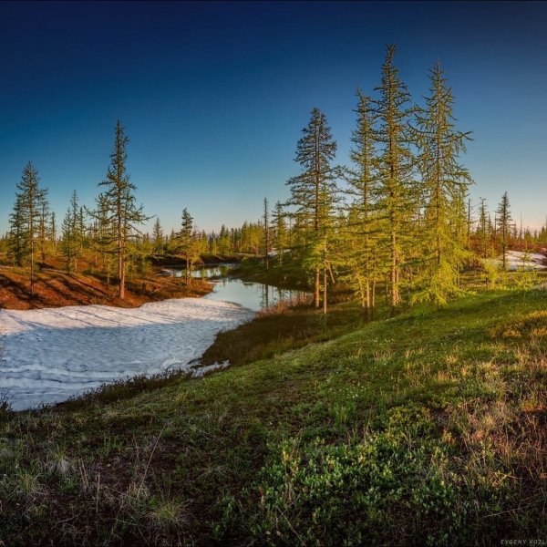 Норильск тундра