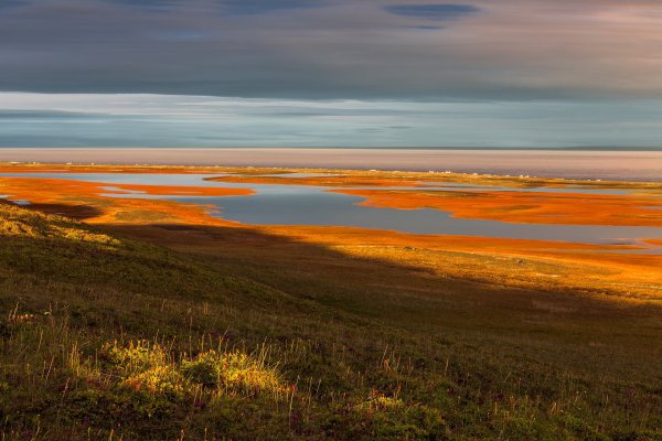 Тундры на полуострове Таймыр