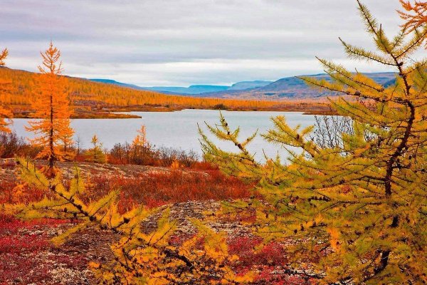 Осень тундра Норильск Талнах