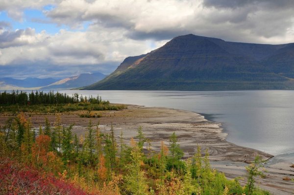 Таймыр плато Путорана