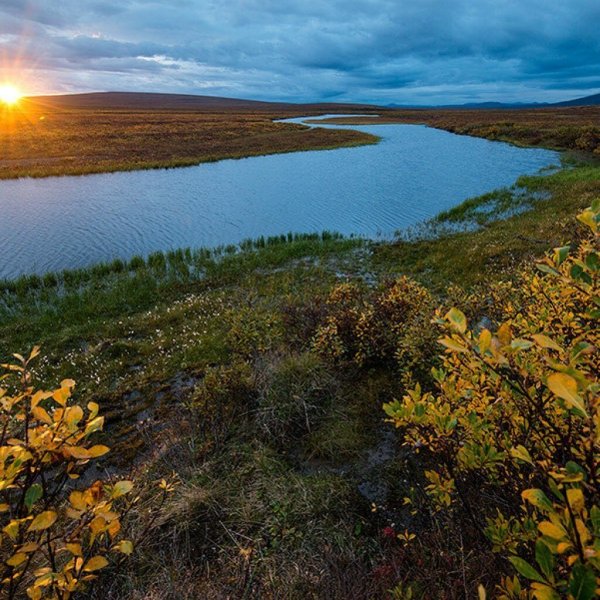 Полуостров Таймыр