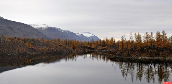 Таймыр сентябрь