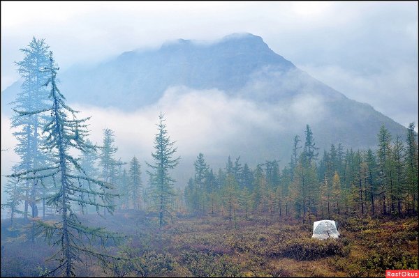 Таймырские пейзаж