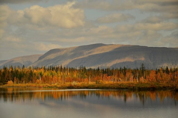 Осень в Норильске