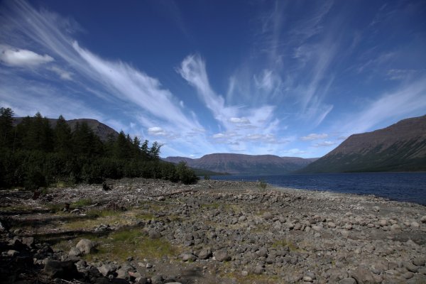 Таймыр озеро лама