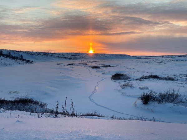 Северный Таймыр