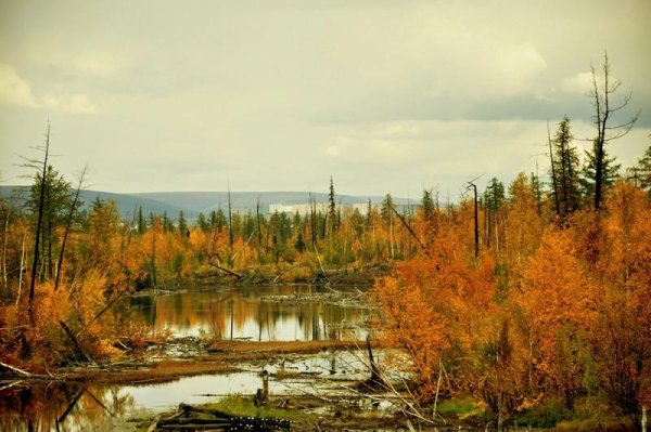 Норильск тундра