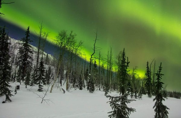 Тундра Норильск природа