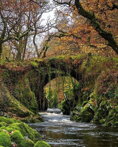 Южный Уэльс Великобритания