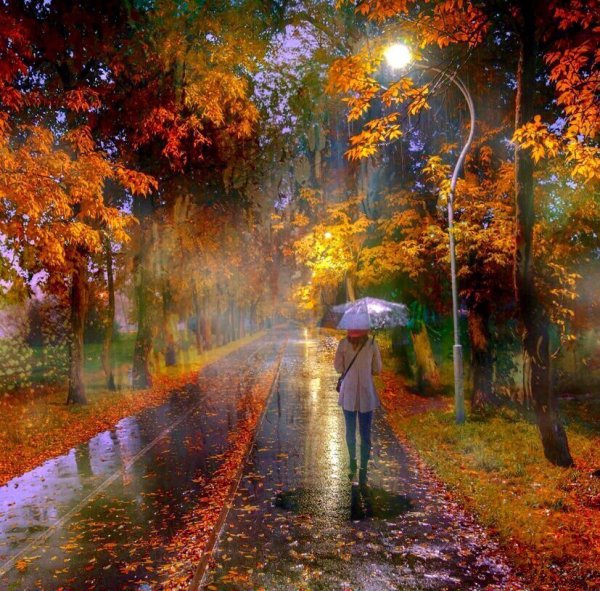 Осенний парк