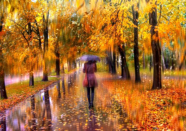 Дождливая осенняя аллея