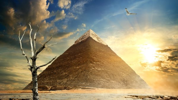 Пирамида Хеопса сфинкс древний Египет живописные этюды