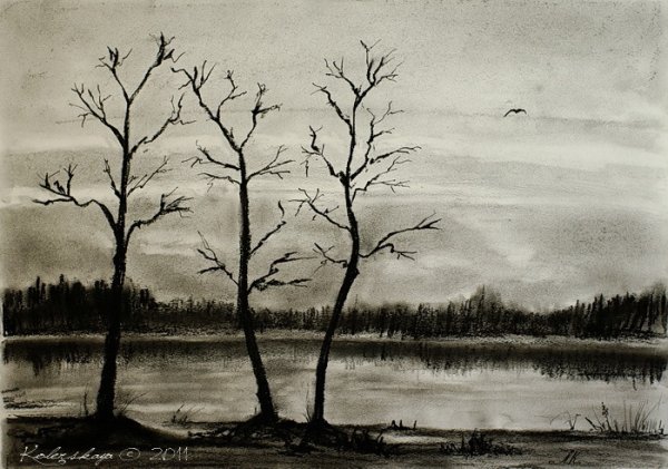 Пейзаж в графике углем