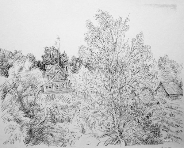 Графика рисунки карандашом