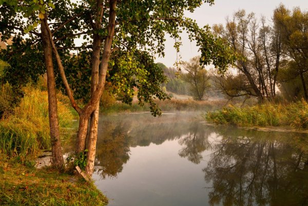 Природа Белгорода Белгород