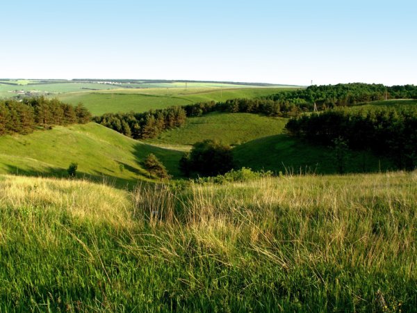Просторы Белгородской области