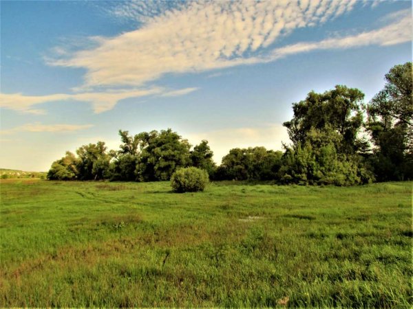 Природа Белгорода Белгород