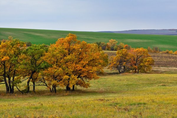Борисовский район село Хотмыжск