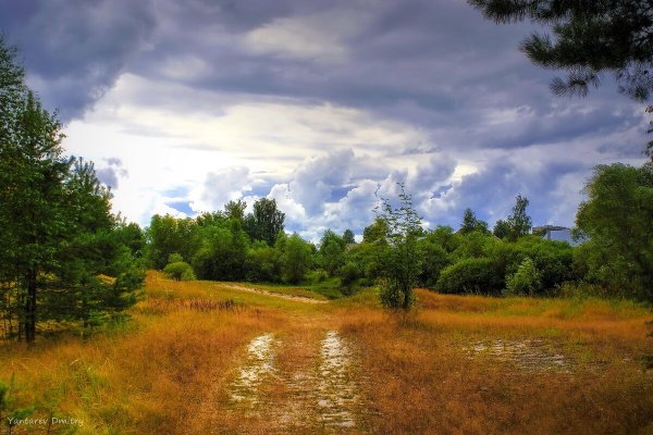 Природа Владимирского края