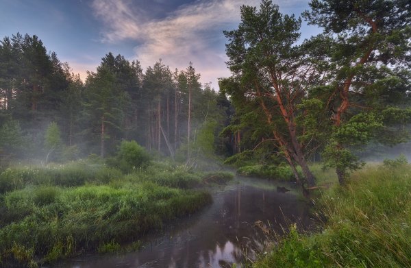 Владимирская область. Утро на реке Шередарь