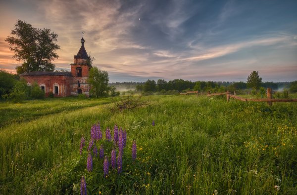 Владимирская область село Головино Церковь Троицы Живоначальной 1881