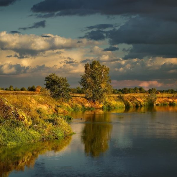 Природа у реки Клязьма