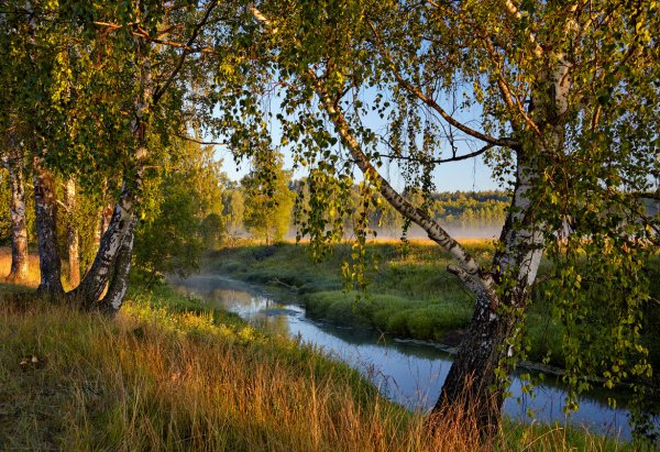 Владимирская область природа реки