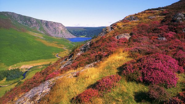 Уиклоу Ирландия