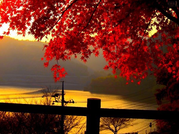 Красивый пейзаж