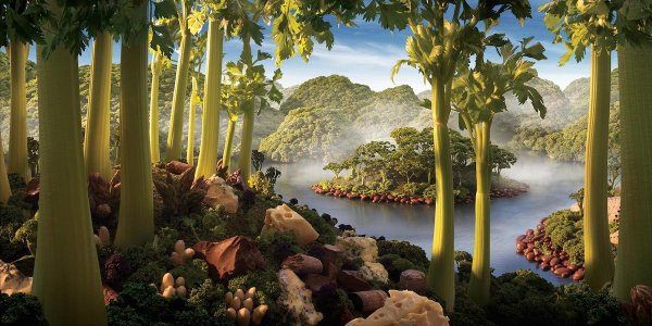 Карл Уорнер съедобные пейзажи