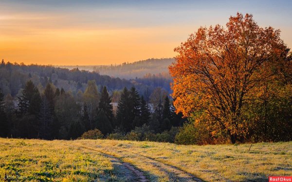 Русская природа осенью