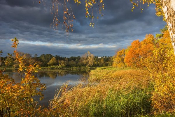 Золотая осень средняя полоса России природа