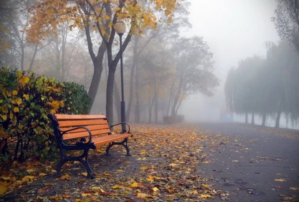 Осень дождь