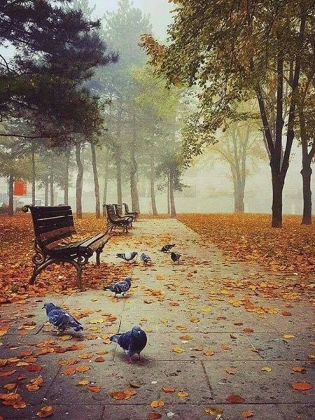 Печальный пейзаж