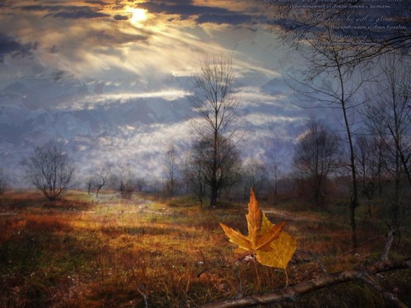 Осень одиночество