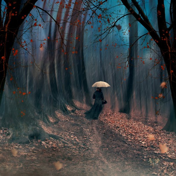 Дождливая осень