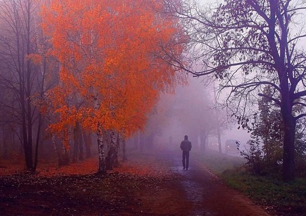 Поздняя осень