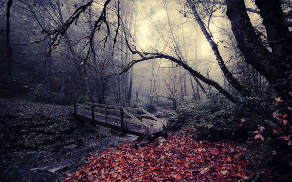 Мрачная осень