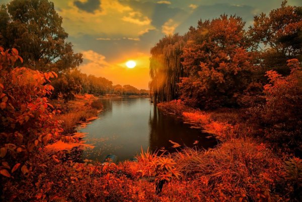 Осенний рассвет