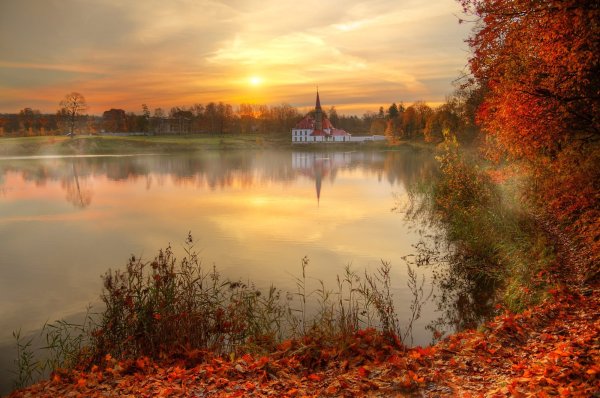 Павловский парк Эдуард Гордеев