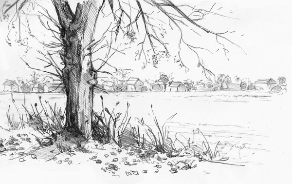 Деревенский пейзаж в графике