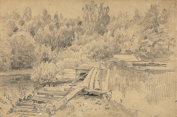 Зарисовки природы