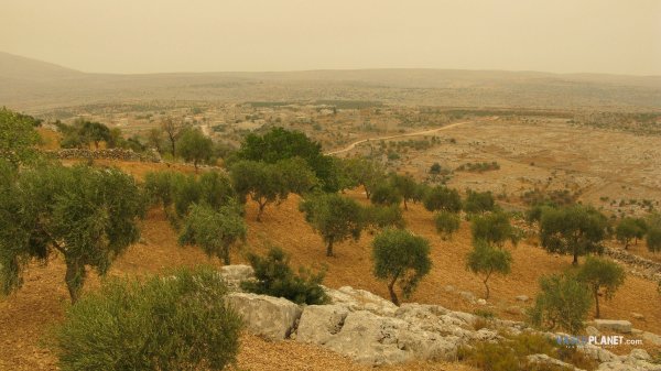 Сирия природа Дамаск